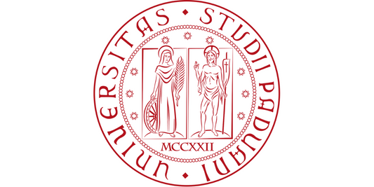 CHINESIOLOGO